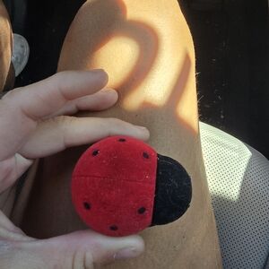 Necklace and earrings set